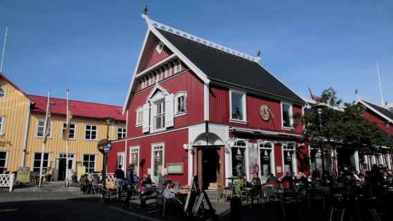 Reykjavik: Guided City Walking Tour