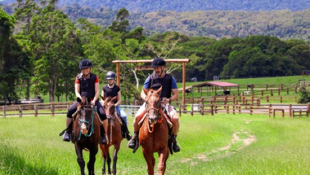 キュランダ：60分間のガイド付き乗馬トレイルライド＆ふれあいファーム