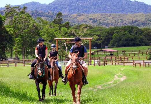Kuranda: 60 minute Guided Horse Trail Ride & Petting Farm AUD 188.84