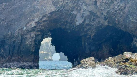 Ab Hafen San Martin: Tour zu den Ballestas-Inseln in Paracas