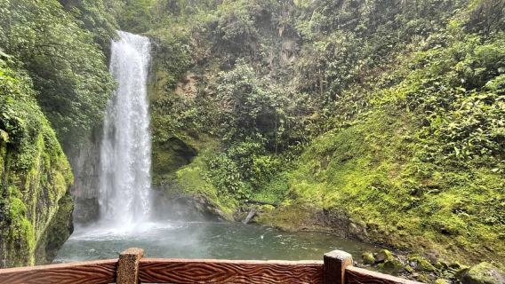 Da San Jose: tour guidato di un giorno ai giardini delle cascate di La Paz