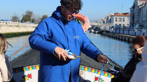 Aveiro no Coração - Passeio de barco típico em Aveiro