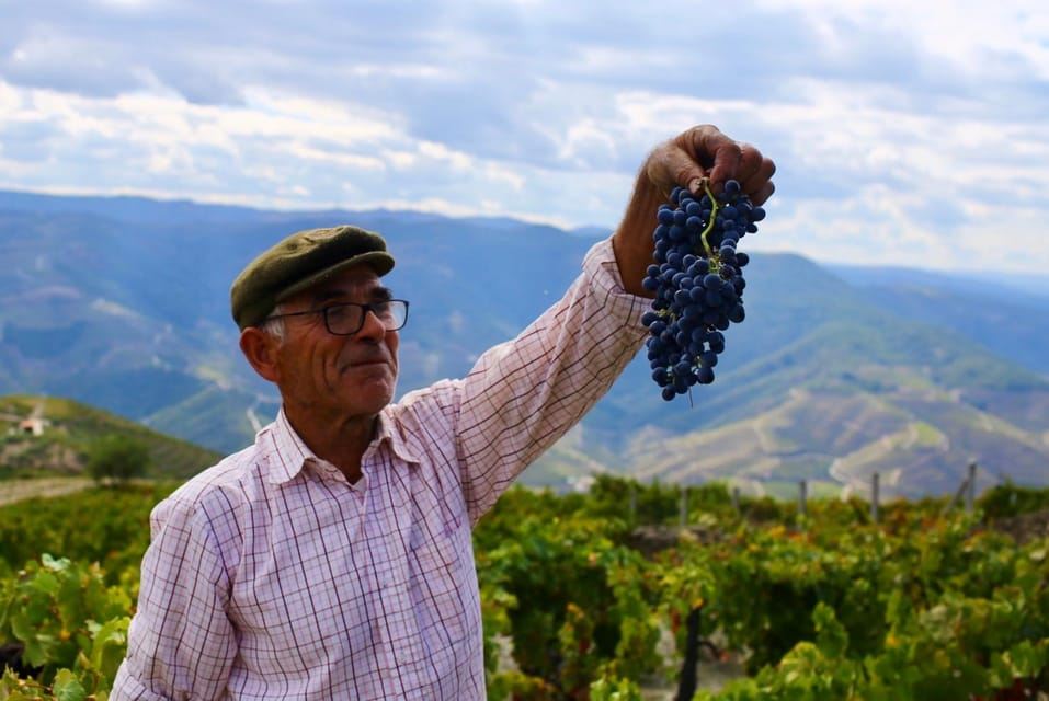 Pinhão: Douro Valley Guided Hike