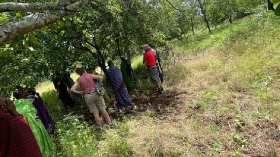 Arusha: Tagestour durch Massai-Dorf und Wildtiere