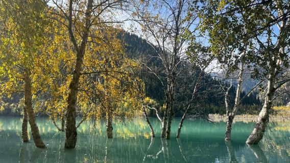 Desde Almaty: Lago Issyk y Cascada del Oso - Excursión de un día