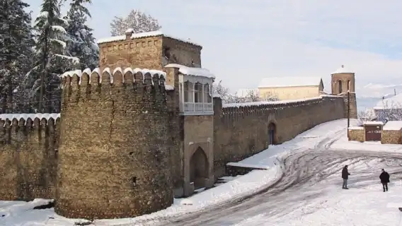 Kakheti Wine 1-day Tour|Wine tasting + monastery + Sighnaghi old town