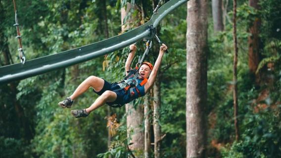 Chiang Mai Jungle Flight Chiang Mai Half-day Tour with Door-to-door Transfer