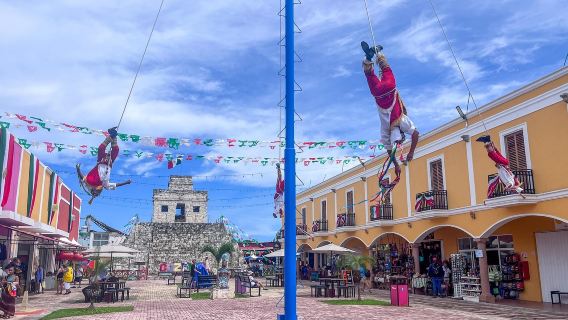 墨西哥城-蝴蝶谷自然保護區-靜謐森林【多日遊全日定制】