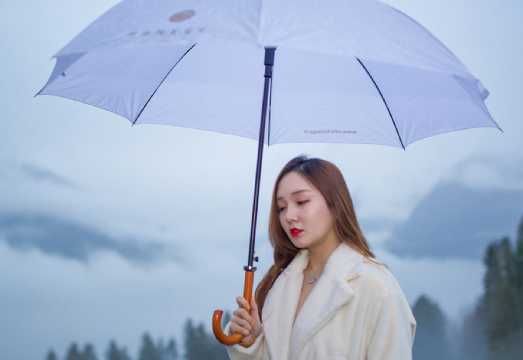 Lucerne Trip Moments in Switzerland[Switzerland wedding photography in Zurich, Lucerne, Lausanne, and Geneva with professional photographers for...