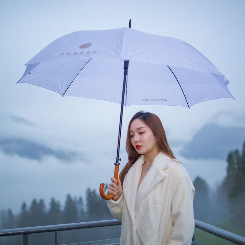 스위스 루체른 여행 사진[스위스 여행 사진 촬영 취리히 루체른 로잔 제네바 웨딩 사진 촬영 동행 촬영]