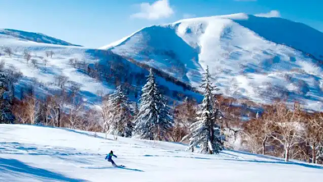 北海道二世谷滑雪場，熱門滑雪場，滑雪接送、滑雪教練，滑雪體驗