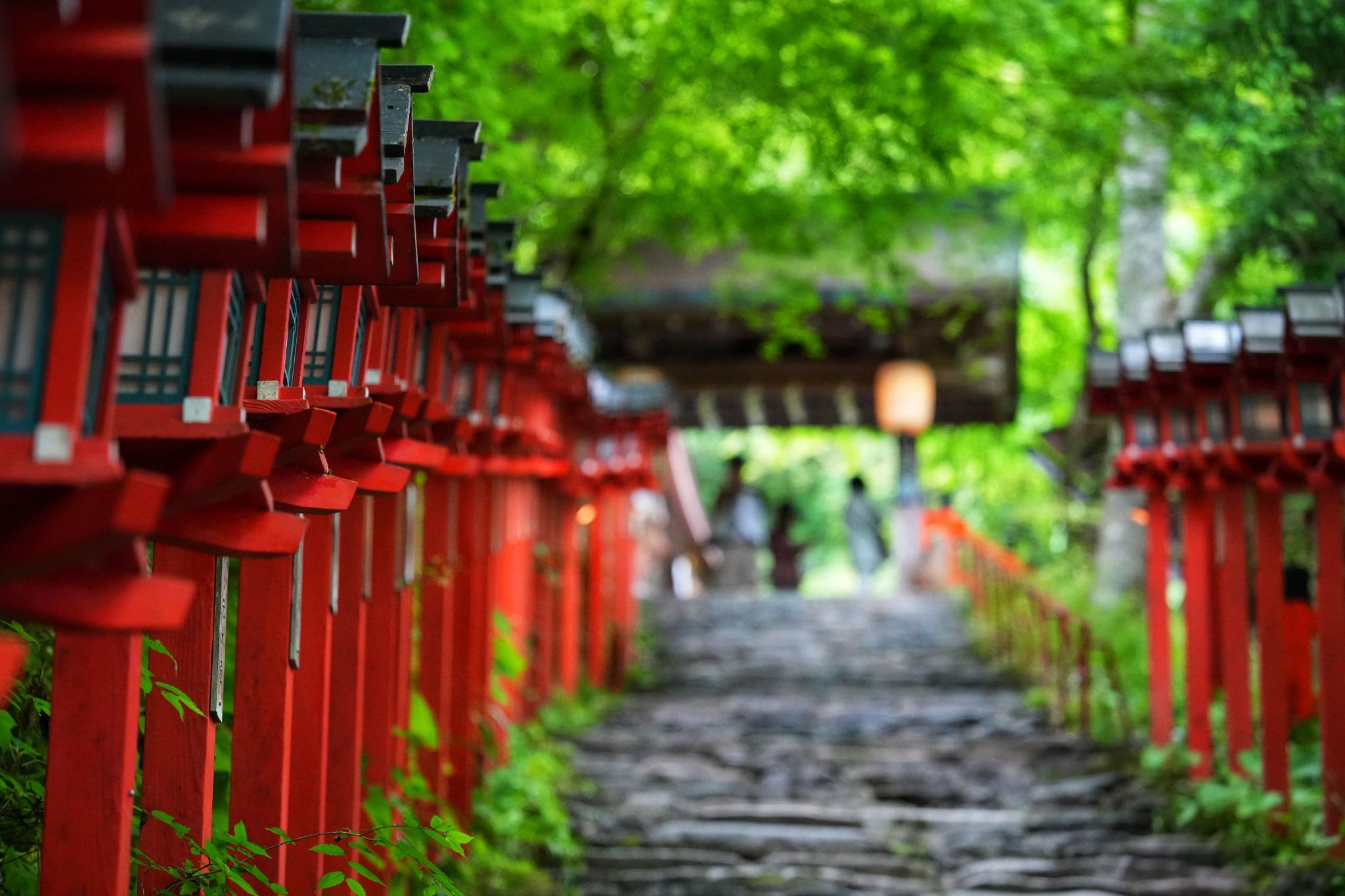 Kyoto Kifune Shrine + Sanzen-in Temple Day Trip [Small Group of 9 + Optional Guided Tour]