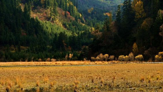 เหมารถสถานีรถไฟความเร็วสูงหวงหลงจิ่วจ้าย/จุดรับสถานีรถไฟความเร็วสูงซ่งผัน --- ตรงสู่จิ่วจ้ายโกวกลุ่ม VIP