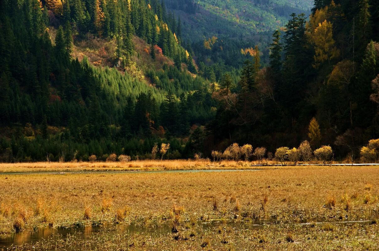 เหมารถสถานีรถไฟความเร็วสูงหวงหลงจิ่วจ้าย/จุดรับสถานีรถไฟความเร็วสูงซ่งผัน --- ตรงสู่จิ่วจ้ายโกวกลุ่ม VIP