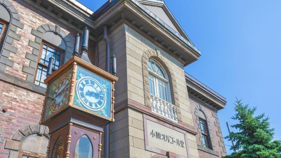 Sapporo to Otaru round-trip private charter 1-day tour with Chinese service / Classic attractions visit