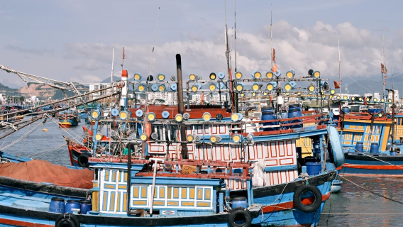 芽莊市內一日遊【泥漿浴套】【1人起訂】午餐+接駁+導遊