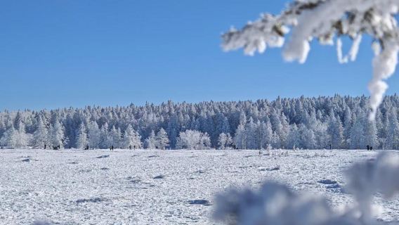 [연길출발]우리말로 떠나는 로리커호 일일투어/우리말 가이드 포함/1일투어/데이투어/로리커호 여행