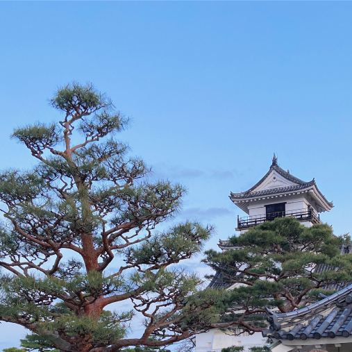 高知城、神社とひろめ市場：半日ガイド付きツアー | Trip.com