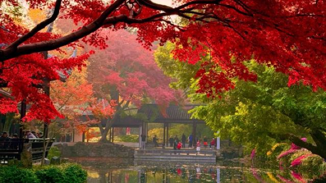 Shanghai Hin- und Rückfahrt: Tagesausflug nach Wuxi|Ein Auftrag, eine Gruppe|Mehrsprachiger Privattransfer in Chinesisch, Englisch und mehr