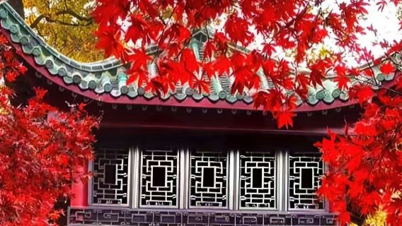 Orange Isle + Mount Yuelu + Hunan University Snack Street + Wuyi Square + Du Fu Pavilion