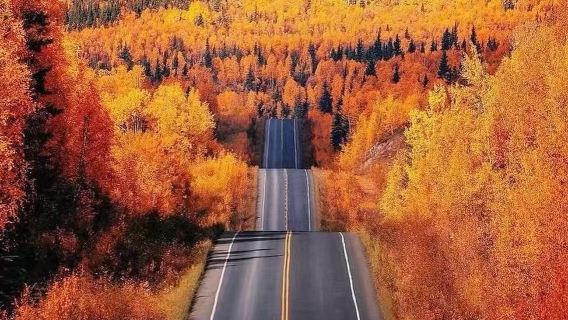 美國費爾班克斯迪納利國家公園+喬治公園公路【中文包車服務】