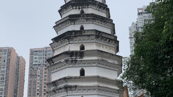 Tour di un giorno a Luzhou con noleggio con conducente esclusivo: visita alla distilleria di Luzhou Laojiao, all'antica città di Yaoba e al parco di Longan Zhangzhangba, con servizio in inglese disponibile.