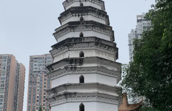 四川瀘州老窖+堯壩古鎮+張張壩桂圓林公園包車一日遊中英文服務