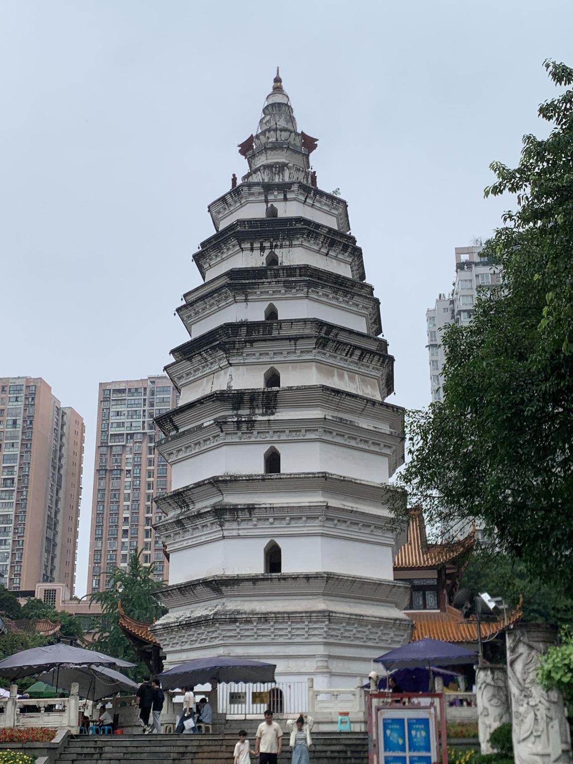 Tour di un giorno a Luzhou con noleggio con conducente esclusivo: visita alla distilleria di Luzhou Laojiao, all'antica città di Yaoba e al parco di Longan Zhangzhangba, con servizio in inglese disponibile.