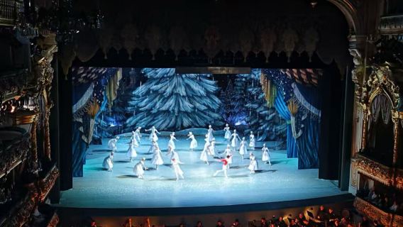 однодневный тур по Москве с посещением Красной Площади, Московского Кремля, Мавзолея Ленина с индивидуальным трансфером