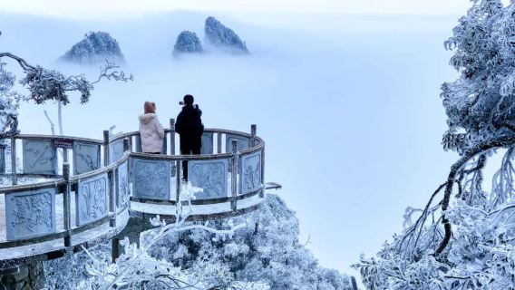 湖南郴州+莽山五指峰景區一日遊【門票+索道+大巴】天天發班