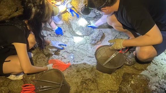 三亞小東海 趕海一對一家庭 拒絕擁擠 本地領隊 收穫免費現烤