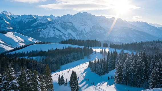 大阪出發|奧伊吹滑雪場一日遊|共乘來回接駁|可選中文司導陪同