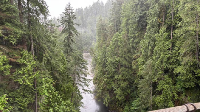 加拿大溫哥華+卡皮拉諾吊橋公園+史丹利公園市區一日遊