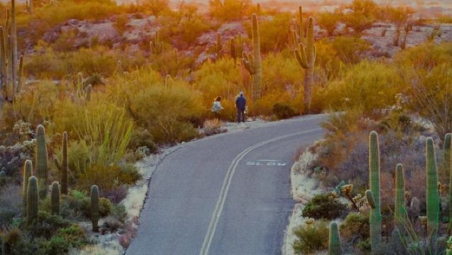 美國鳳凰城-塞多納-大教堂岩-貝爾岩-紅岩州立公園-包車精選