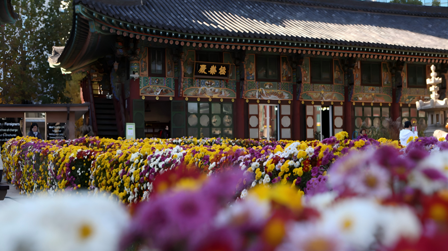 【首爾鐘路文化遺產精選】曹溪寺+仁寺洞+益善洞+宗廟+韓屋村