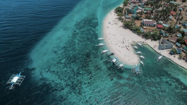 Du thuyền đảo Bohol ngắm cá heo + Lặn biển ngắm san hô, cá nhỏ và rùa biển tại đảo Pamilacan