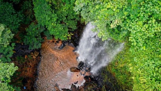 Excursión de un día a las Cataratas de Boti, la Roca Sombrilla, los Jardines de Aburi y la Granja de Cacao
