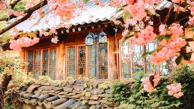 首尔出发｜水原华城 + 文殊寺 + 开心寺一日游