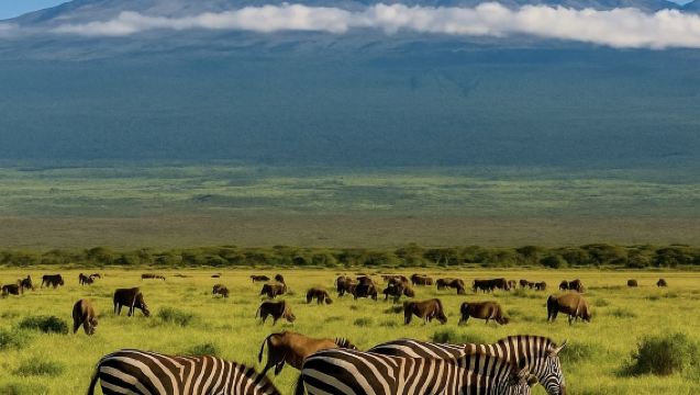 Johannesburgo, Sudáfrica: ida y vuelta a Sun City + Parque Nacional de Pilanesberg, personalizable con opción en chino