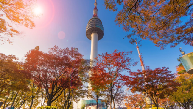 「韓國全境·私人定制」中文地陪+專業翻譯 | 首爾/釜山/濟州島/慶州 | 旅遊陪同+商務考察 |自由行定制/包車