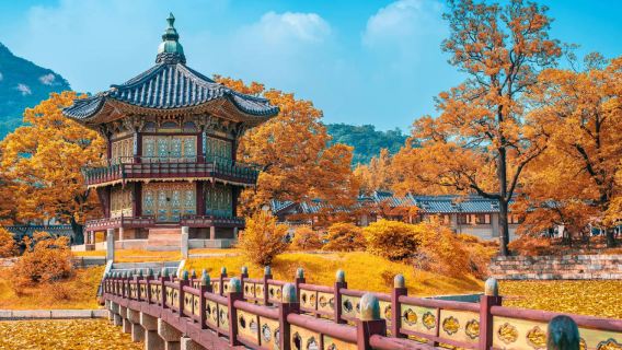 【投資考察定制】韓國全境商務考察團 | 中文翻譯+地陪+包車 | 參觀產業園/對接當地資源 | 按需定制行程