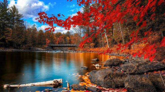 Nairobi, lake Naivasha and hells gate national park in Kenya with optional vehicle type