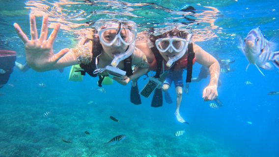 Okinawa, Japan: Snorkelervaring bij het strand van Onna - inclusief uitrusting, visvoerexperience en reisfoto's