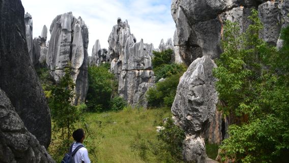Kunming: Tur Privat 1 Hari ke Taman Geologi Hutan Batu