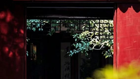 Wuxin Jichang-puiston yksityiskohtainen opasopastuspalvelu [Yksityisopas selittää puutarhasuunnittelun taidetta]