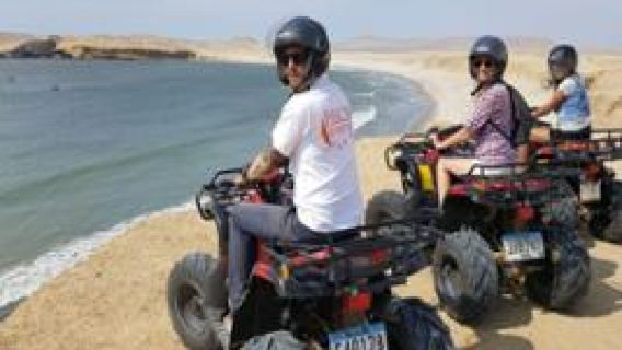Paracas Reserve Off-Road Expedition - Tour by Buggy or Quad Bike
