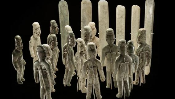 [Penerangan Terperinci 3 Jam oleh Pakar] Pameran Amerika di Muzium Shanghai · Penerangan Mendalam Puncak Pokok Dunia