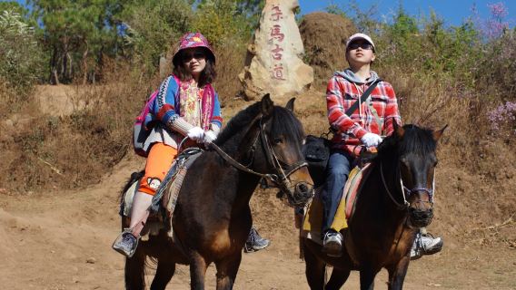 Lawatan sehari Taman Lembap Antarabangsa Tasik Lashi Lijiang/Jalan Kuda Teh/Menunggang kuda/Ladang Kuda Berangin/Aktiviti kekeluargaan