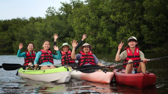 Cancún: Experiencia en kayak al atardecer en los manglares