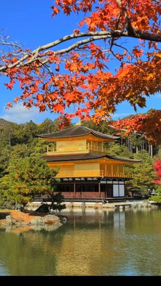 日本京都＋禅林寺 (永観堂)＋哲学の道＋南禅寺＋金閣寺ワンデーツアー/紅葉狩りおすすめ